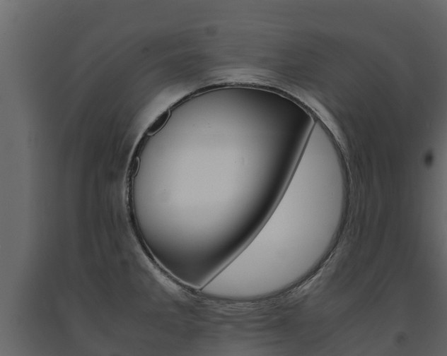 X0000091711285200708240948
