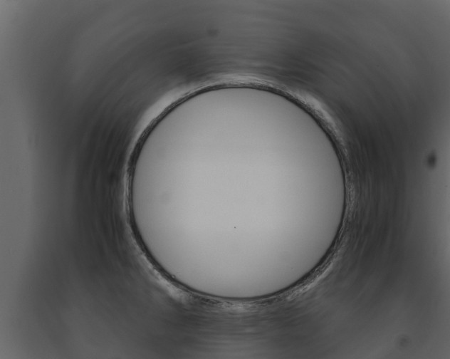 X0000091711286200708240948