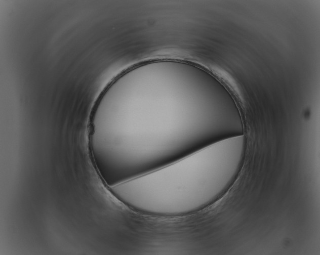 X0000091711288200708240948