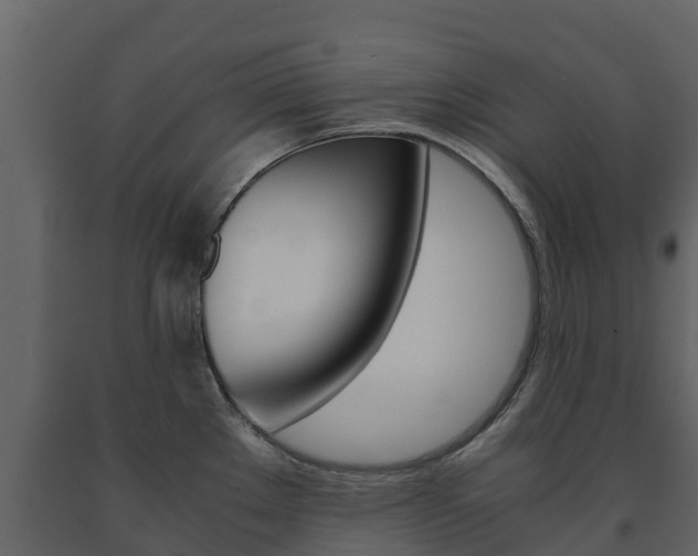 X0000091711289200708240948