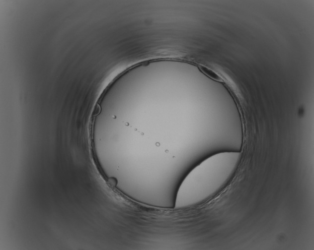 X0000091711291200708240948