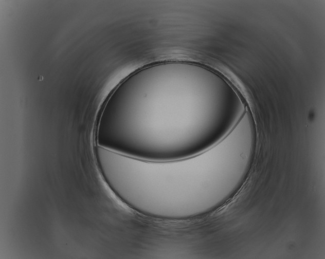 X0000091711293200708240948