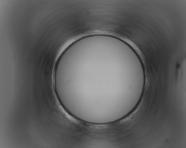 X0000091711294200708240948