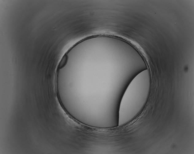 X0000091711295200708240948