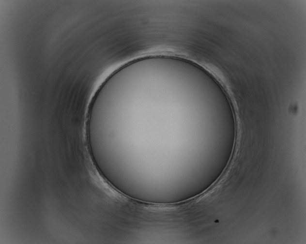 X0000091711296200708240948