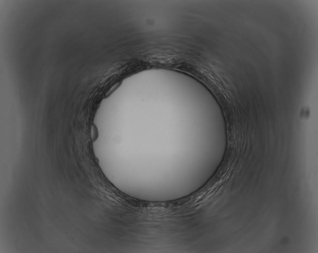 X0000091711297200708240947