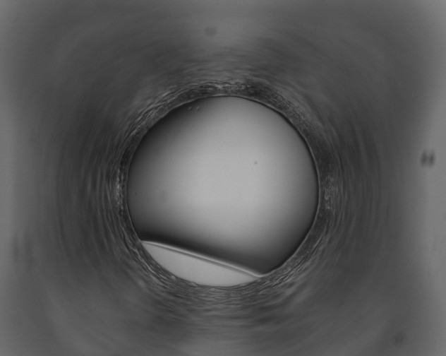 X0000091711298200708240947