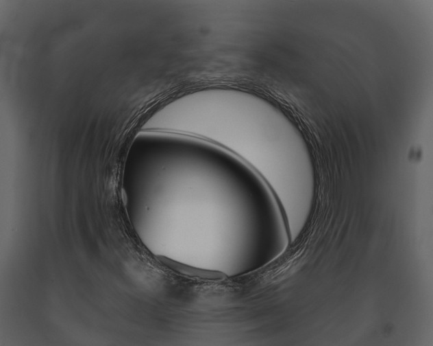 X0000091711300200708240947