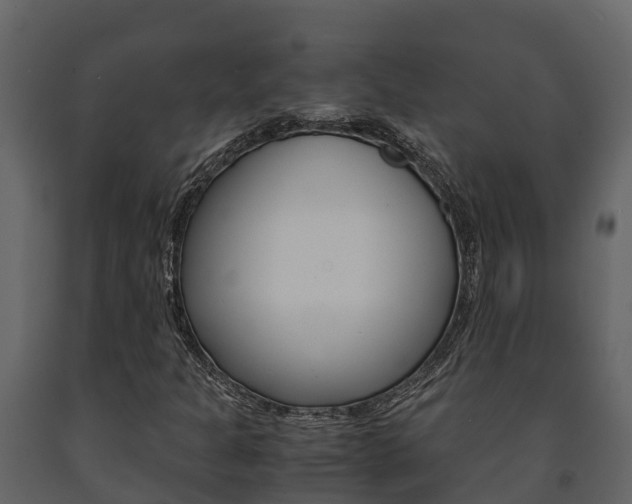 X0000091711301200708240947
