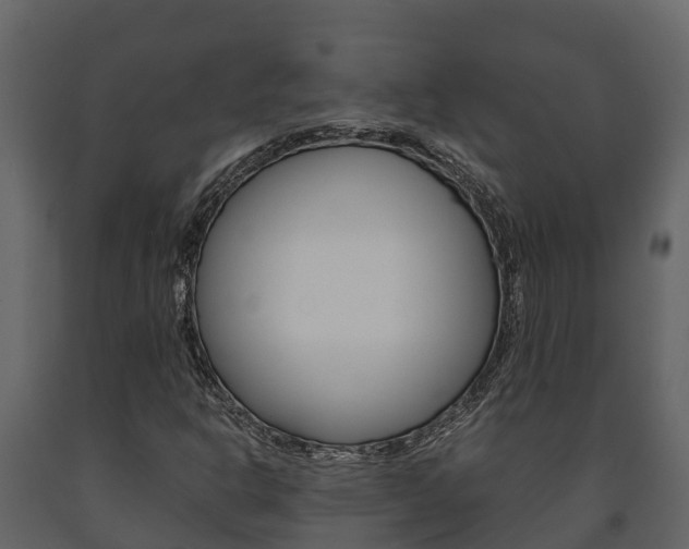 X0000091711302200708240947