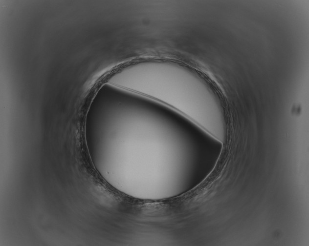 X0000091711304200708240947