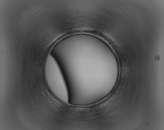 X0000091711305200708240947