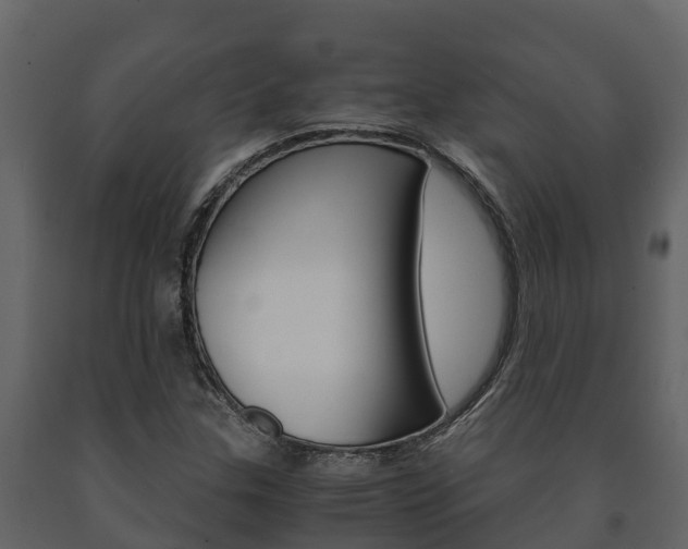 X0000091711307200708240947