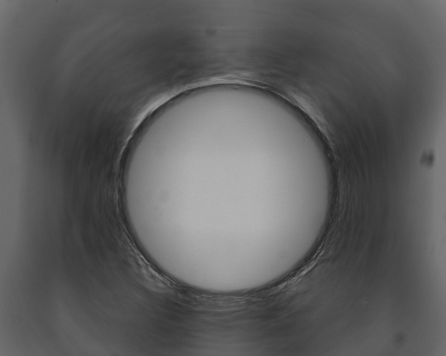 X0000091711308200708240947