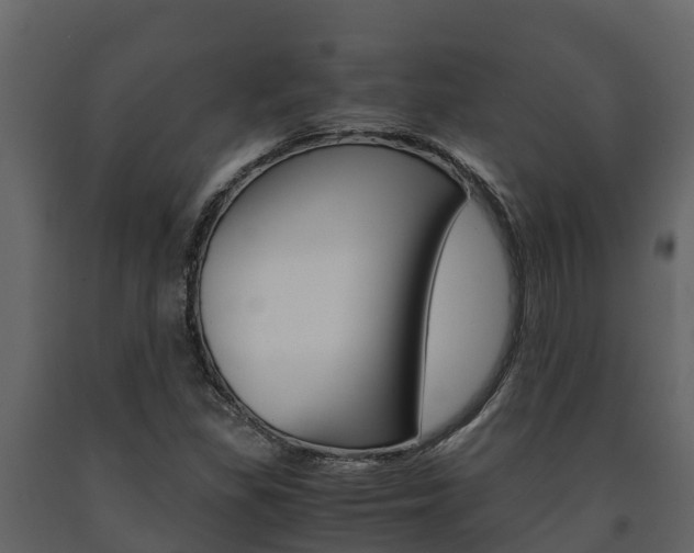 X0000091711309200708240947