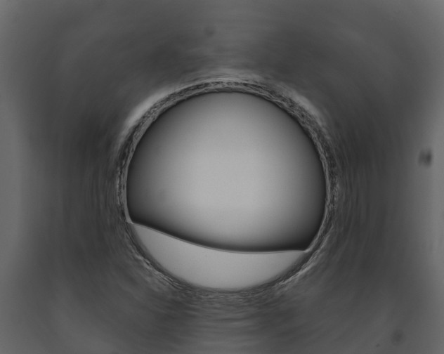 X0000091711310200708240947