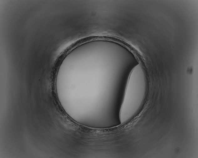 X0000091711311200708240947
