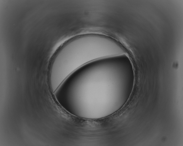 X0000091711312200708240948