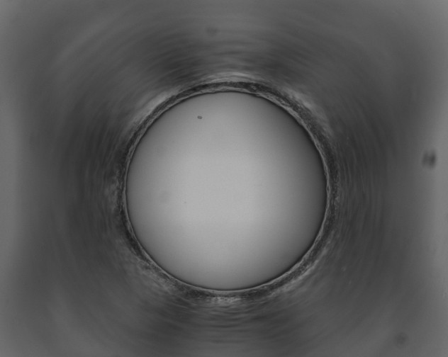 X0000091711313200708240948