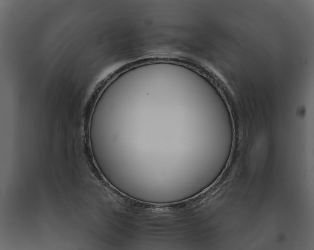 X0000091711315200708240948