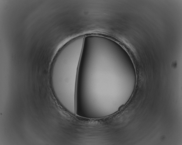 X0000091711316200708240948