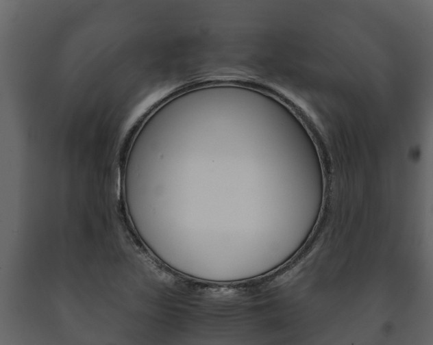 X0000091711317200708240948