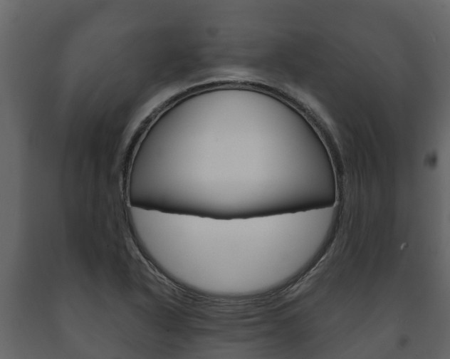 X0000091711318200708240948