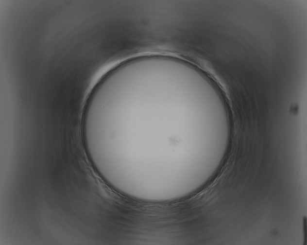 X0000091711320200708240948