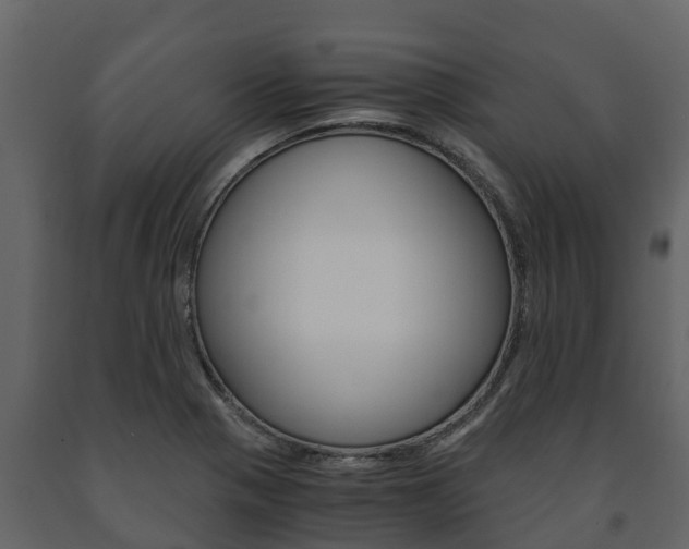 X0000091711321200708240948