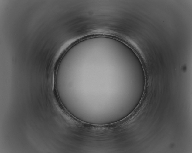 X0000091711323200708240948