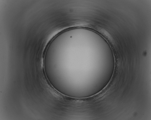 X0000091711324200708240948