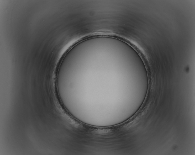 X0000091711325200708240948