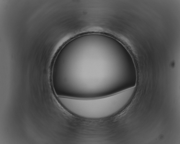 X0000091711326200708240948