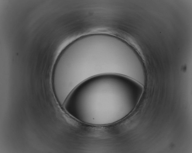 X0000091711328200708240948