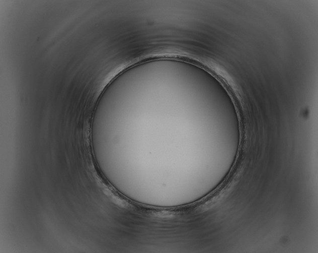 X0000091711329200708240948