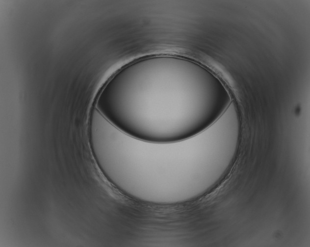 X0000091711332200708240948