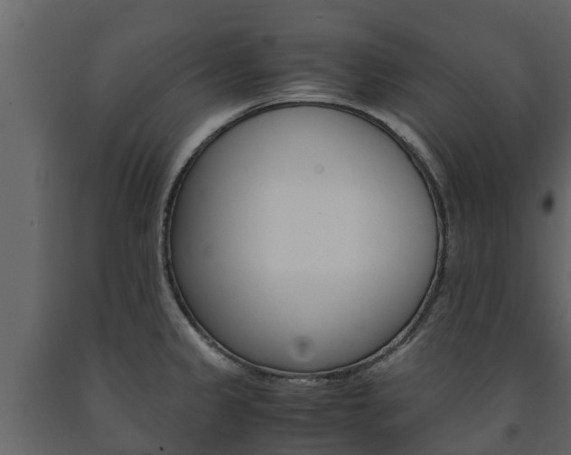 X0000091711333200708240948