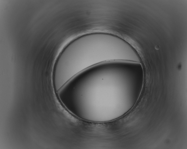 X0000091711334200708240948