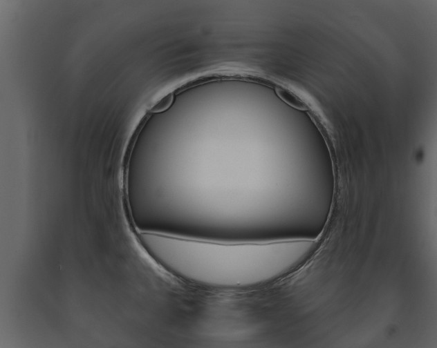 X0000091711335200708240948