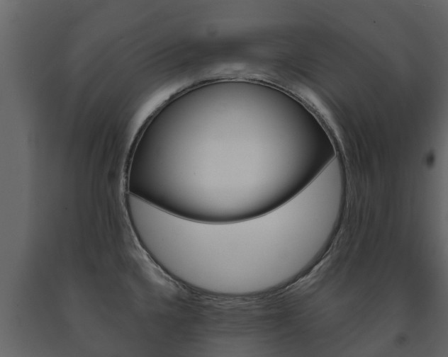 X0000091711336200708240948