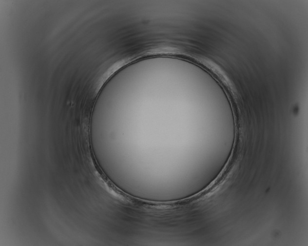 X0000091711337200708240948