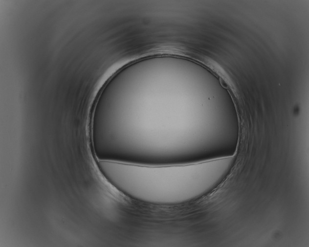 X0000091711339200708240948