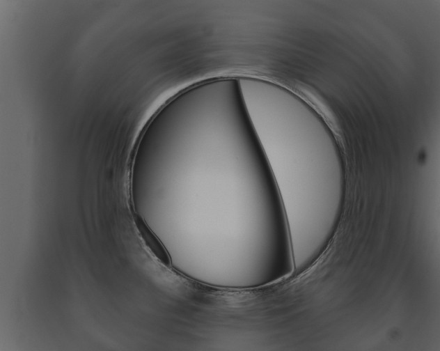 X0000091711340200708240948