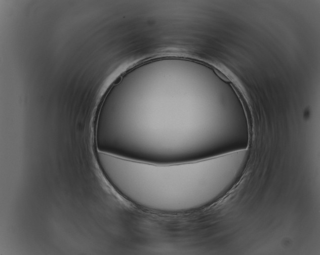 X0000091711341200708240948