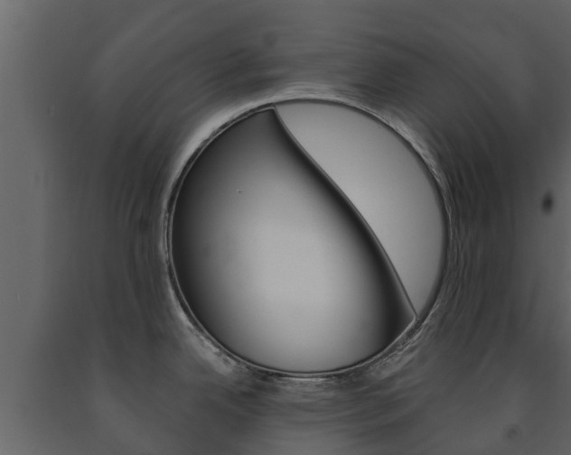 X0000091711342200708240948