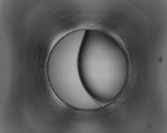 X0000091711344200708240948