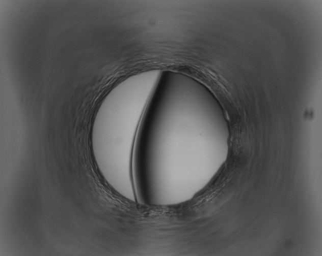 X0000091711345200708240947
