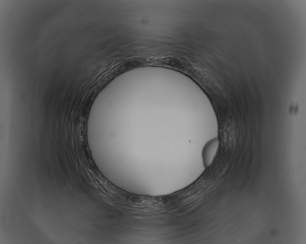 X0000091711346200708240947