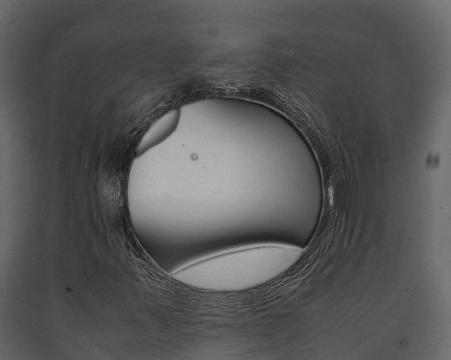 X0000091711347200708240947