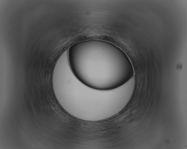 X0000091711348200708240947